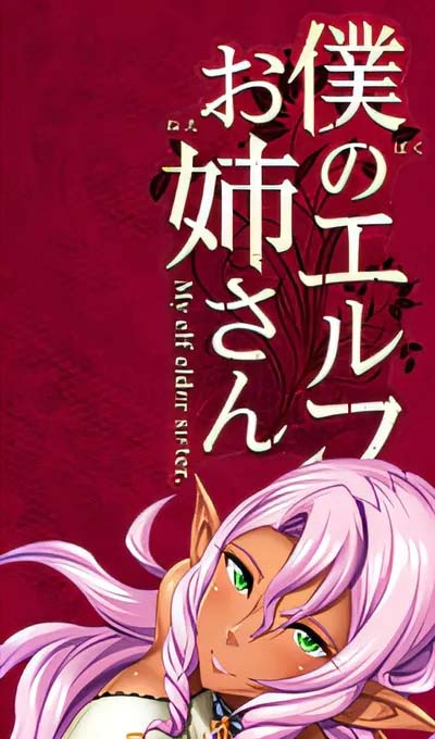 我的精灵姐姐 AI汉化版[网盘]