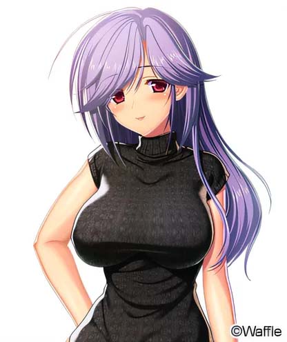  交奸的FR们… AI汉化版[网盘]