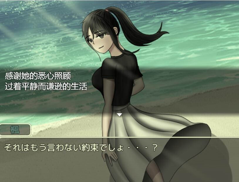 危险的变化PastStory1.0PC+安卓汉化版[2.5G]